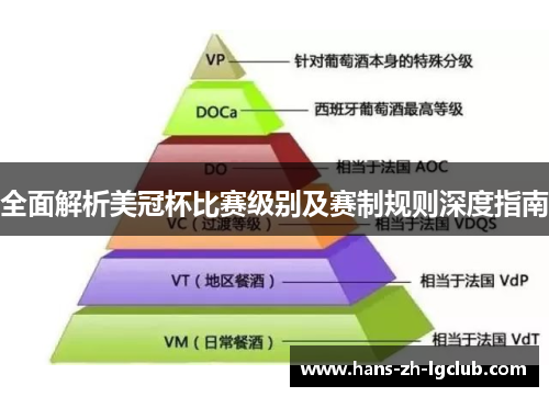 全面解析美冠杯比赛级别及赛制规则深度指南