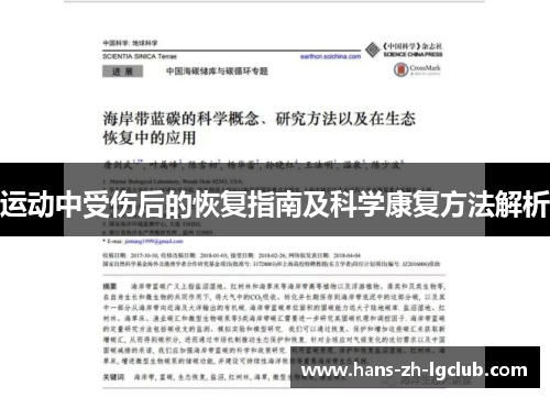 运动中受伤后的恢复指南及科学康复方法解析