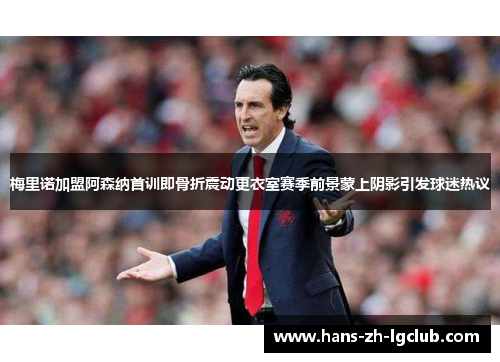 梅里诺加盟阿森纳首训即骨折震动更衣室赛季前景蒙上阴影引发球迷热议